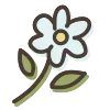 🌺