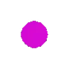 🟣