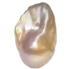 🐚