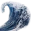 🌊