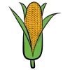 🌽