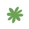 💚