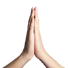 🙏