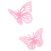 🦋