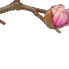 ⭐