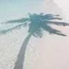 🏝️
