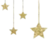 🌟