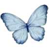 🦋