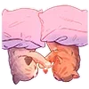 🛌