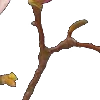 ⭐