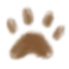 🐾