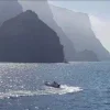 🌊
