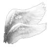 🤩