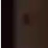 ⭐