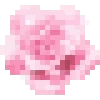 🌹