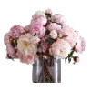 🌸