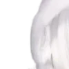 ⭐