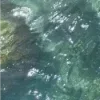 🌊