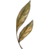 🍃