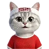 🐱
