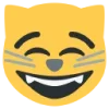 😸