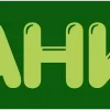 💚
