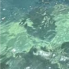 🌊