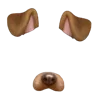 🐶