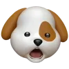 🐶