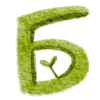 🟩