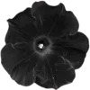 ⚫