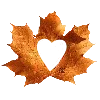 🍂