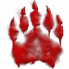 🐾