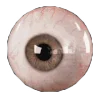 👁
