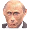 🐵