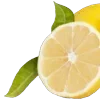 🍋
