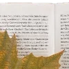 📖