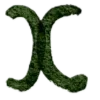 🟢