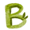 🟩