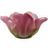 🌺