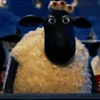 🐑