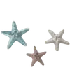 🌟
