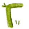 🟩