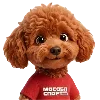 🐶