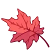 🍁