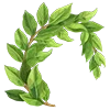 🌿