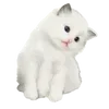 🐈