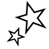 🌟