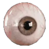 👁