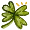 🍀